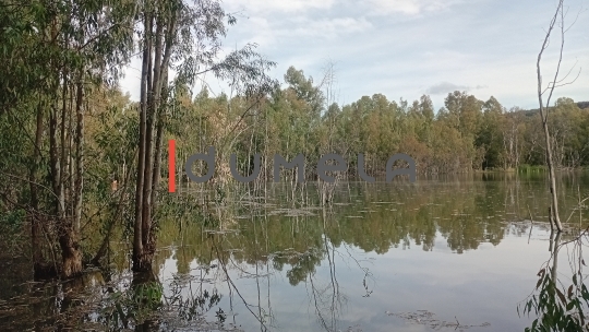 Mmakgodumo Dam